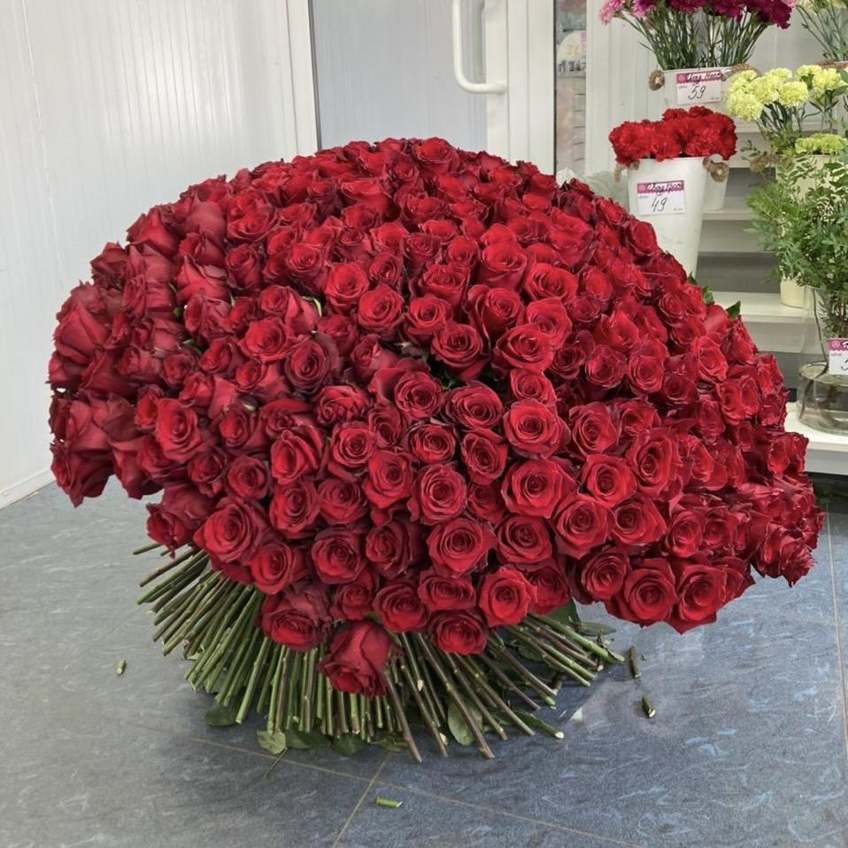 Букеты из красных роз 80 см (Эквадор) Артикул  213312