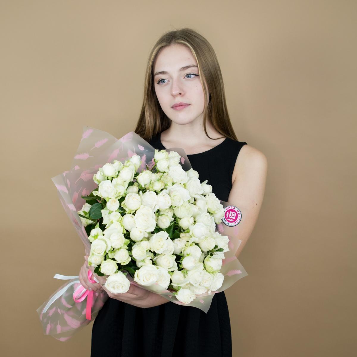 Розы кустовые белые №: 4224