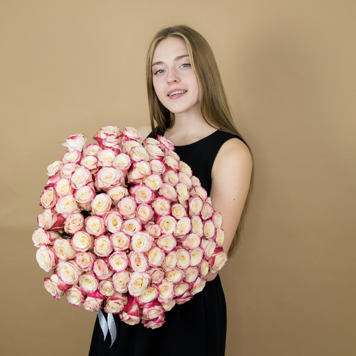 Розы красно-белые (40 см) Эквадор артикул  528