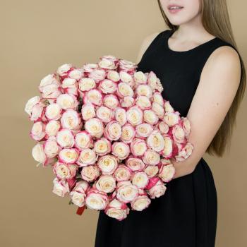 Розы красно-белые 75 шт 40 см (Эквадор) articul   93808