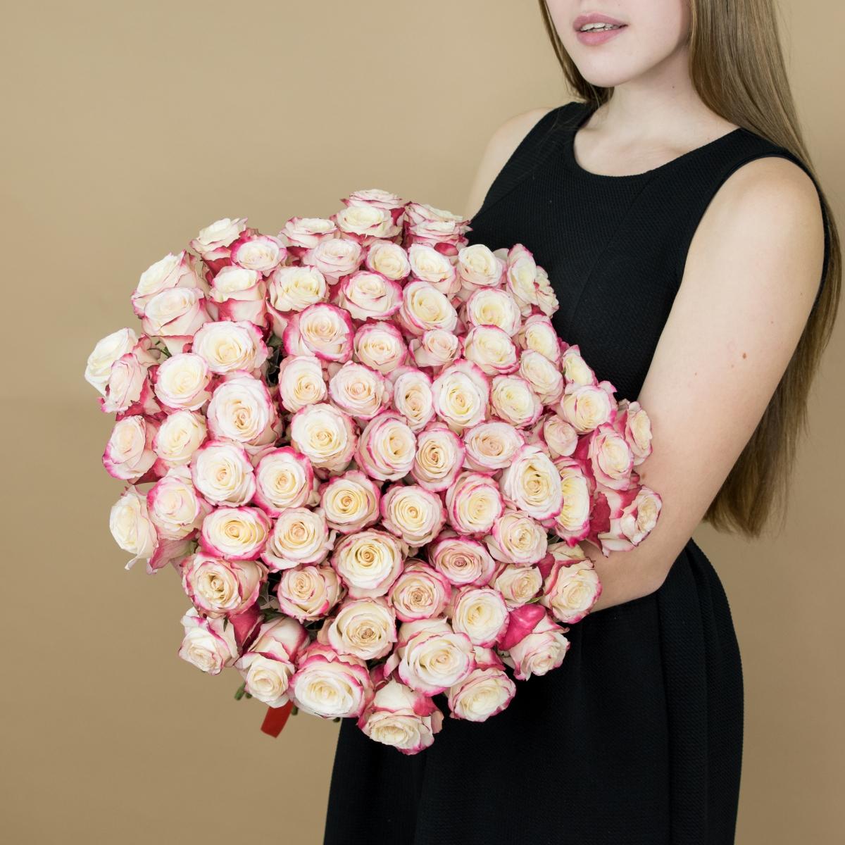 Розы красно-белые 101 шт. (40 см) артикул букета   93984