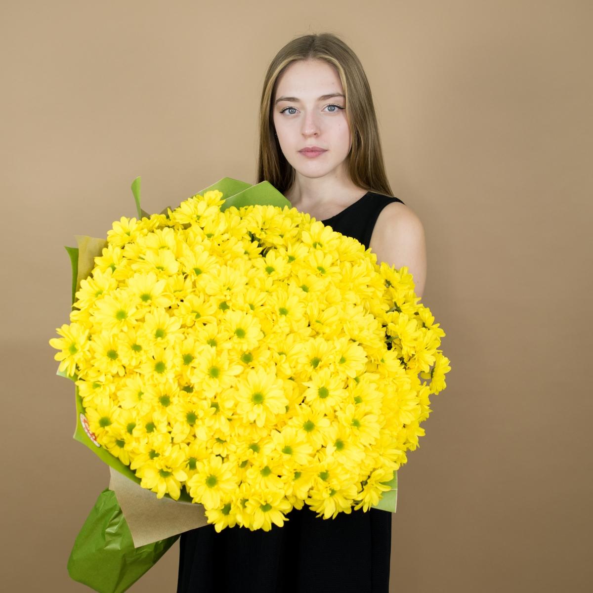 Хризантема кустовая желтая (Артикул  97328)