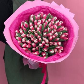 101 розово-белый тюльпан